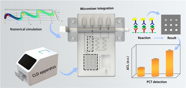 Graphical abstract: Construction of a desirable hyperbolic microfluidic chip for ultrasensitive determination of PCT based on chemiluminescence