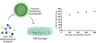 Graphical abstract: Glucose biosensors based on Michael addition crosslinked poly(ethylene glycol) hydrogels with chemo-optical sensing microdomains