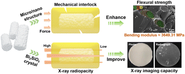 Graphical abstract: Multifunctional epoxy resin-based composites with excellent flexural strength and X-ray imaging capacity using micro/nano structured QF-Bi2SiO5 fillers