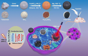 Graphical abstract: Green synthesis of mesoporous and biodegradable iron silicide nanoparticles for photothermal cancer therapy
