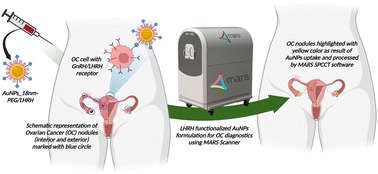 Graphical abstract: LHRH conjugated gold nanoparticles assisted efficient ovarian cancer targeting evaluated via spectral photon-counting CT imaging: a proof-of-concept research