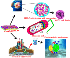 Graphical abstract: A biopolymer functionalized two-dimensional WS2@TiO2 nanocomposite for in vitro biomedical and photocatalytic applications: facile synthesis and characterization