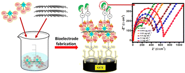 Graphical abstract: An electrochemical impedance aptasensor based on selenomolybdate nanodot/antimonene hybrid for platelet-derived growth factor-BB