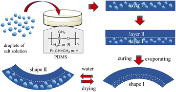 Graphical abstract: Water-actuated reversible shape-memory polydimethylsiloxane for potential biomedical applications