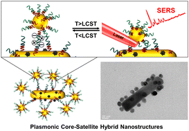 Graphical abstract: Stimuli-responsive plasmonic core–satellite hybrid nanostructures with tunable nanogaps