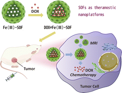 Graphical abstract: An iron(iii) complex-based supramolecular organic framework (SOF) as a theranostic platform via magnetic resonance imaging-guided chemotherapy