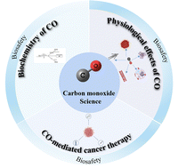 Graphical abstract: Carbon monoxide therapy: a promising strategy for cancer