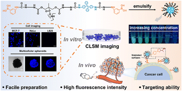 Graphical abstract: A biocompatible polyurethane fluorescent emulsion with aggregation-induced emission for targeted tumor imaging