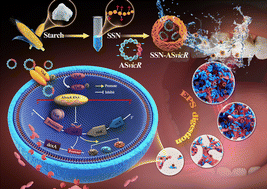 Graphical abstract: Spermine-starch nanoparticles with antisense vicR suppress Streptococcus mutans cariogenicity