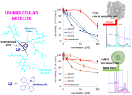 Graphical abstract: Cross-linkable star-hyperbranched unimolecular micelles for the enhancement of the anticancer activity of clotrimazole