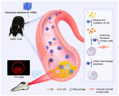 Graphical abstract: Engineering ROS-scavenging Prussian blue nanozymes for efficient atherosclerosis nanotherapy