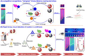 Graphical abstract: Rapid binary visual detection of oxalate in urine samples of urolithiasis patients via competitive recognition and distance reading test strips