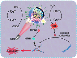 Graphical abstract: Amplification of oxidative stress with a hyperthermia-enhanced chemodynamic process and MTH1 inhibition for sequential tumor nanocatalytic therapy