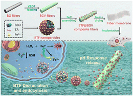 Graphical abstract: An implantable composite scaffold for amplified chemodynamic therapy and tissue regeneration