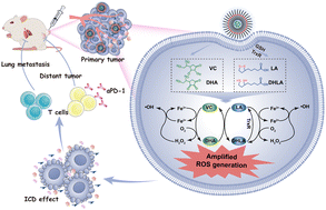 Graphical abstract: Nanodrug constructed using dietary antioxidants for immunotherapy of metastatic tumors