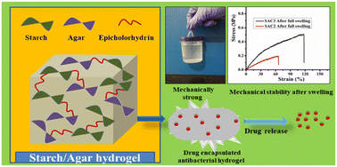 Graphical abstract: Swelling induced mechanically tough starch–agar based hydrogel as a control release drug vehicle for wound dressing applications