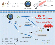 Graphical abstract: Calcium-peroxide-mediated cascades of oxygen production and glutathione consumption induced efficient photodynamic and photothermal synergistic therapy