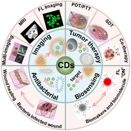 Graphical abstract: Recent developments in carbon dots: a biomedical application perspective