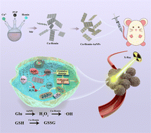 Graphical abstract: Gold nanoparticle doped Cuhemin nanosheets with a remodeling tumor microenvironment for multiple radiotherapy sensitization
