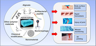 Graphical abstract: A review on the synthesis and development of alginate hydrogels for wound therapy