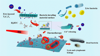 Graphical abstract: HKUST-1 loaded few-layer Ti3C2Tx for synergistic chemo-photothermal effects to enhance antibacterial activity