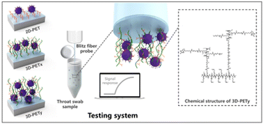 Graphical abstract: Rational design of multivalent biosensor surfaces to enhance viral particle capture
