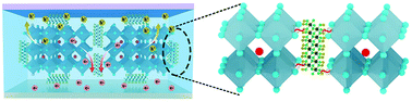 Graphical abstract: Macroscopic and microscopic defect management in blue/green photodetectors for underwater wireless optical communication