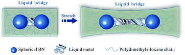 Graphical abstract: Liquid bridge: liquid metal bridging spherical BN largely enhances the thermal conductivity and mechanical properties of thermal interface materials