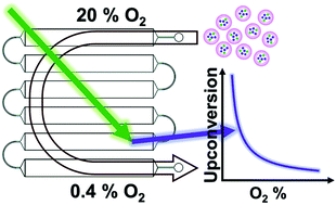 Graphical abstract: Microfluidic oxygen tolerability screening of nanocarriers for triplet fusion photon upconversion