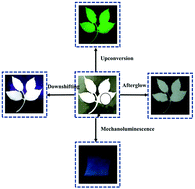 Graphical abstract: Achieving mechano-upconversion-downshifting-afterglow multimodal luminescence in Pr3+/Er3+ coactivated Ba2Ga2GeO7 for multidimensional anticounterfeiting