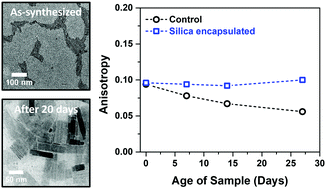 Graphical abstract: Polarization anisotropy losses due to morphological instability in CsPbX3 nanorods and strategies for mitigation