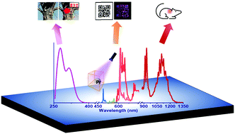 Graphical abstract: Recent advances in Pr3+-activated persistent phosphors