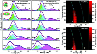 Graphical abstract: Coupled excitonic quasiparticle-electron–phonon and interlayer coupling in vertically and horizontally aligned MoS2