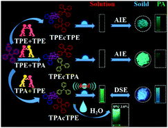 Graphical abstract: The locations of triphenylamine and tetraphenylethene on a cyclohexyl ring define a luminogen as an AIEgen or a DSEgen