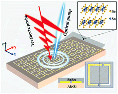 Graphical abstract: SnSe2-functionalized ultrafast terahertz switch with ultralow pump threshold