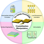 Graphical abstract: Nucleation and crystallization manipulations of tin halide perovskites for highly efficient solar cells