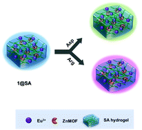 Graphical abstract: A pH-responsive Eu(iii) functionalized metal–organic framework hybrid luminescent film for amino acid sensing and anti-counterfeiting