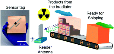 Graphical abstract: A wireless chipless printed sensor tag for real-time radiation sterilization monitoring