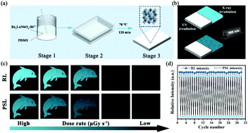 Graphical abstract: Indirect and time-lapse X-ray detection with Ba2LuNbO6:Bi3+ double perovskite phosphors