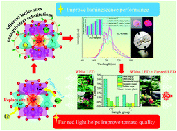 Graphical abstract: A high thermal stability Cr3+-doped gallate far red phosphor for plant lighting: structure, luminescence enhancement and application prospect