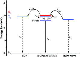 Graphical abstract: Improvement of exciton utilization by suppressing exciton leakage for high efficiency blue and white organic light-emitting diodes