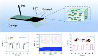 Graphical abstract: MXene-based composite double-network multifunctional hydrogels as highly sensitive strain sensors