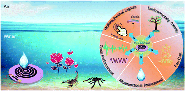 Graphical abstract: A multifunctional flexible sensor with coupling bionic microstructures inspired by nature