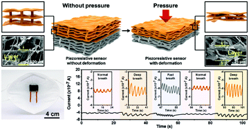Graphical abstract: Tannery solid waste-derived cross-scale deformable piezoresistive sensors for monitoring human body motions