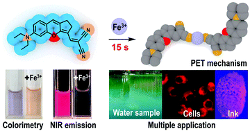 Graphical abstract: A colorimetric, NIR, ultrafast fluorescent probe for ferric iron detection based on the PET mechanism and its multiple applications