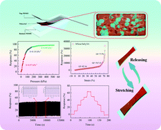 Graphical abstract: Ultra-sensitive, stretchable, and bidirectional wearable strain sensor for human motion detection