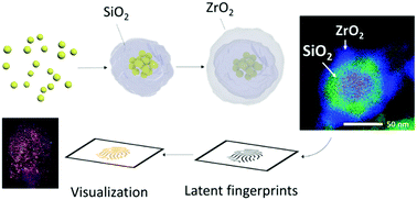 Graphical abstract: Bright and stable gold nanocluster assemblies by silica/zirconia double-shell encapsulation