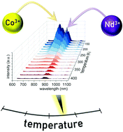 Graphical abstract: A ratiometric and lifetime-based luminescent thermometer exploiting the Co3+ luminescence in CaAl2O4:Co3+ and CaAl2O4:Co3+,Nd3+