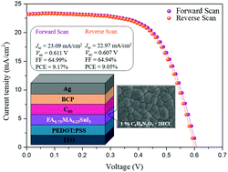 Graphical abstract: Suppression of Sn2+ oxidation and formation of large-size crystal grains with multifunctional chloride salt for perovskite solar cell applications