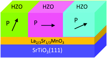 Graphical abstract: Ferroelectric Hf0.5Zr0.5O2 films on SrTiO3(111)